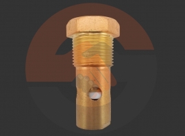 Brass Forged In-Tank Check Valve